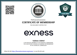 Understanding Exness Global A Comprehensive Guide